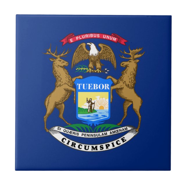 Michigan State Flag Ceramic Tile (Front)
