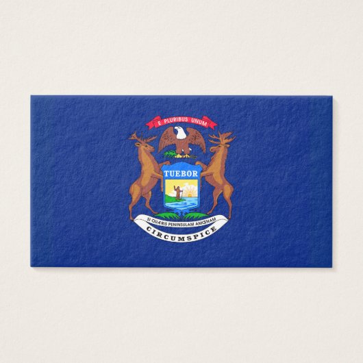 Michigan State Flag Design (Front)
