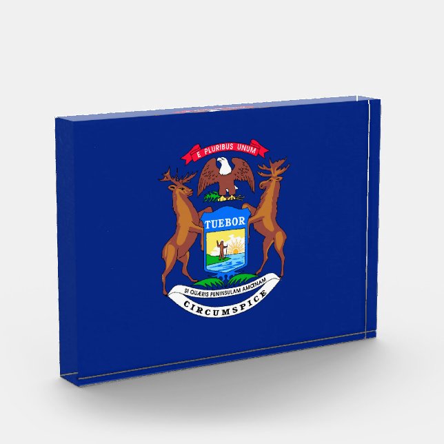 Michigan State Flag Design Award (Left)