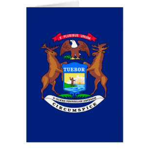 Michigan State Flag Design Cards