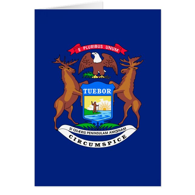 Michigan State Flag Design Cards (Front)