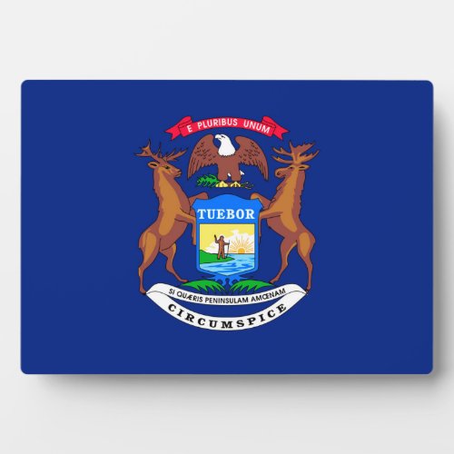 Michigan State Flag Design Plaque