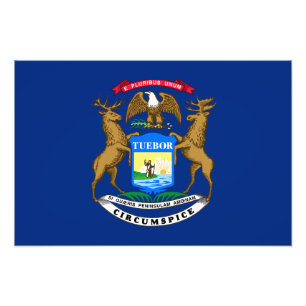 Michigan State Flag Photo Print