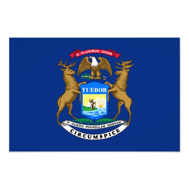 Michigan State Flag Photo Print (Front)
