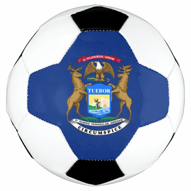 Michigan State Flag Soccer Ball (Front)