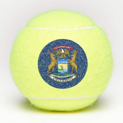Michigan State Flag Tennis Balls