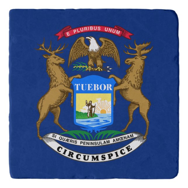 Michigan State Flag Trivet (Front)