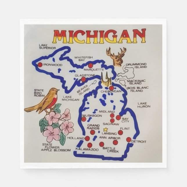 Michigan State Party  Napkins (Front)
