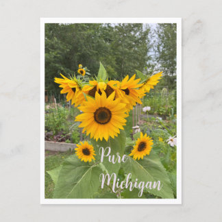 Michigan Summer Sunflower Postcrossing Postcard