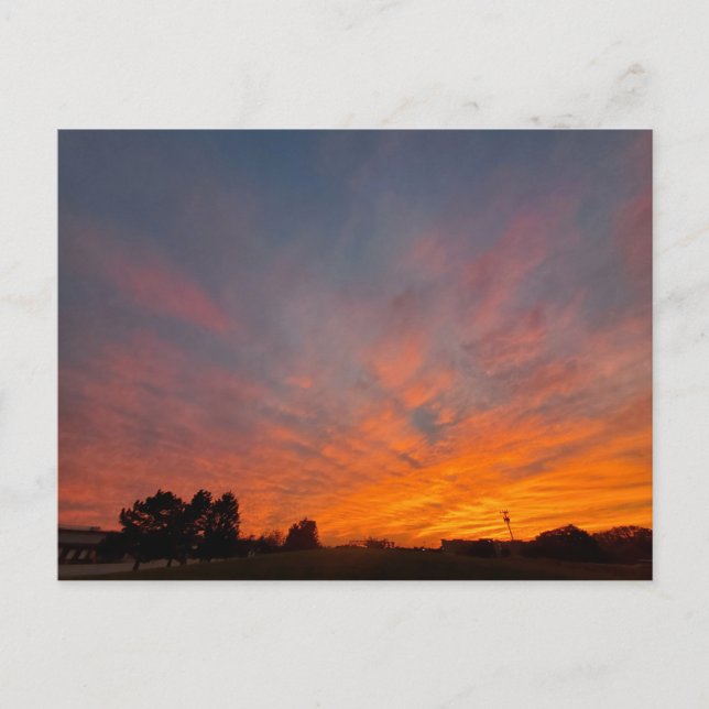 Michigan Sunset Postcard (Front)