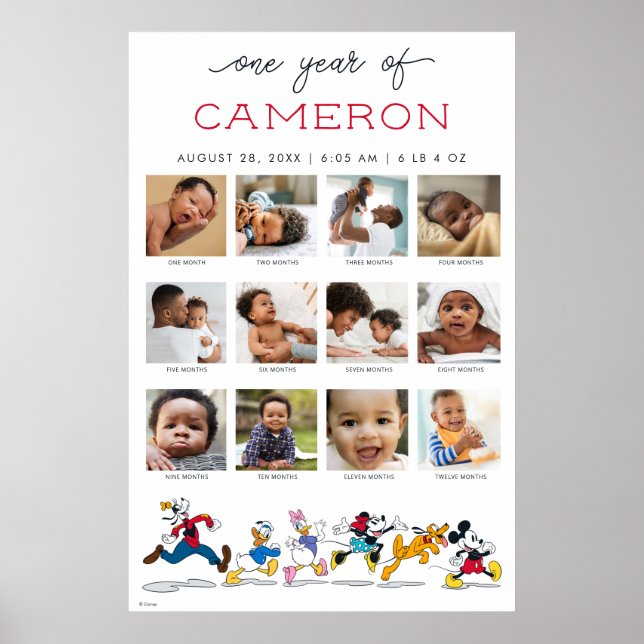 Mickey and Friends | One Year of - 12 Months Poster (Front)