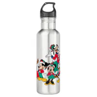 Disney Mickey Mouse Stripes Water Bottle, 20 oz