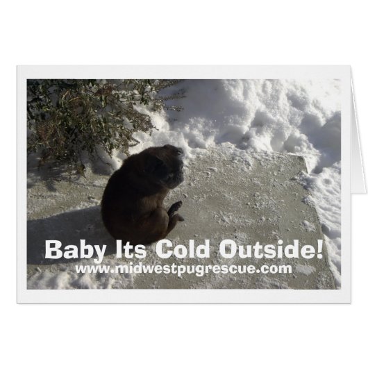 mickey snow day, Baby Its Cold Outside!  , www.... Cards (Front Horizontal)