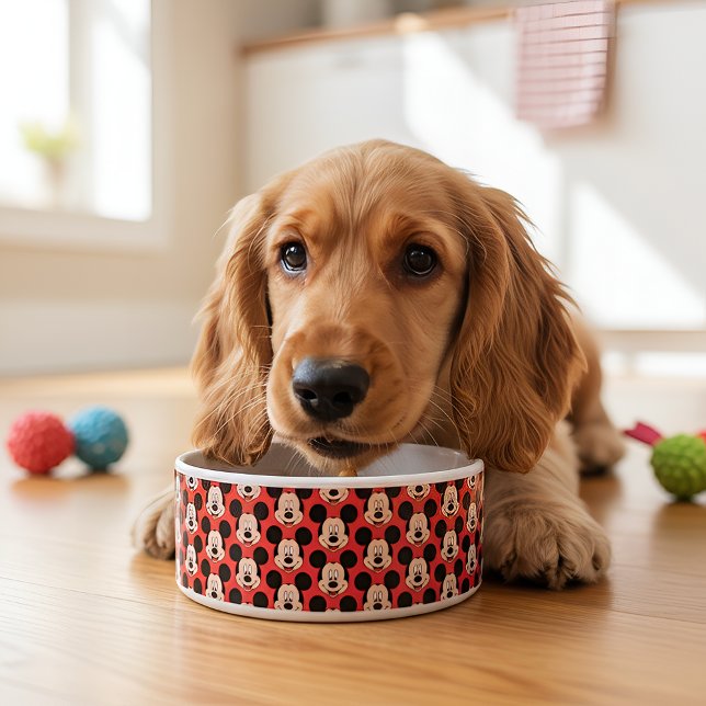 Micky Bowl (Creator Uploaded)