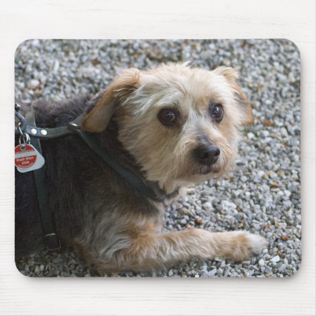 Micky Mouse Pad (Front)