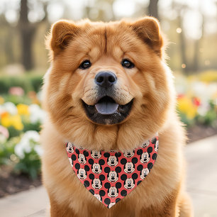 Micky Pet Bandana Collar