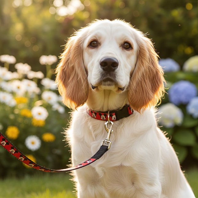 Micky Pet Leash (Creator Uploaded)