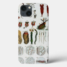 Micro organisms animales vintage biology chart tab