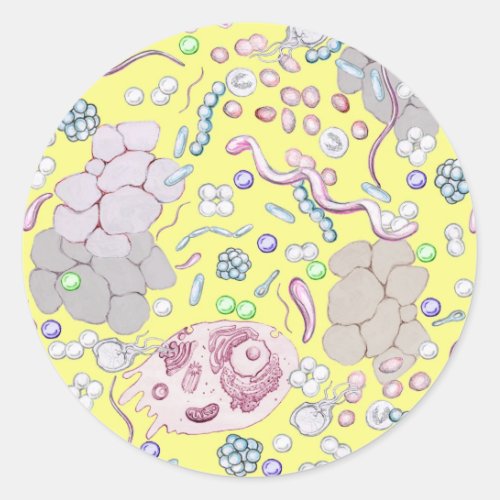 Microbiology In Yellow Classic Round Sticker