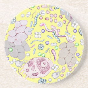 Microbiology In Yellow Drink Coaster