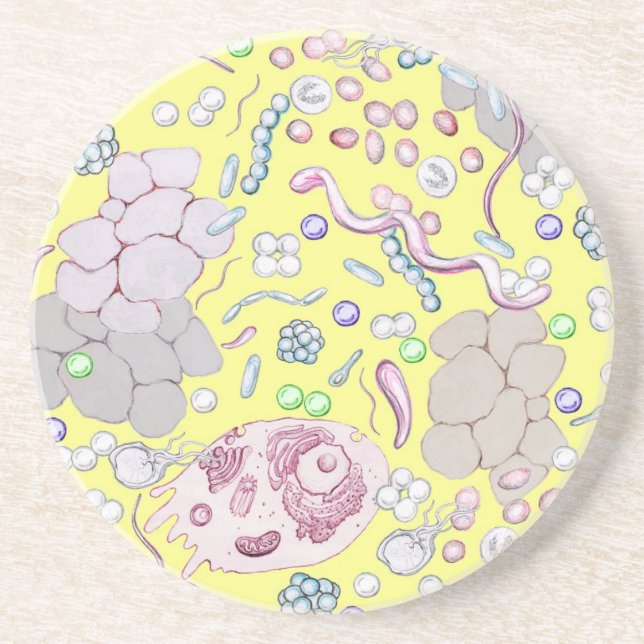 Microbiology In Yellow Drink Coaster (Front)