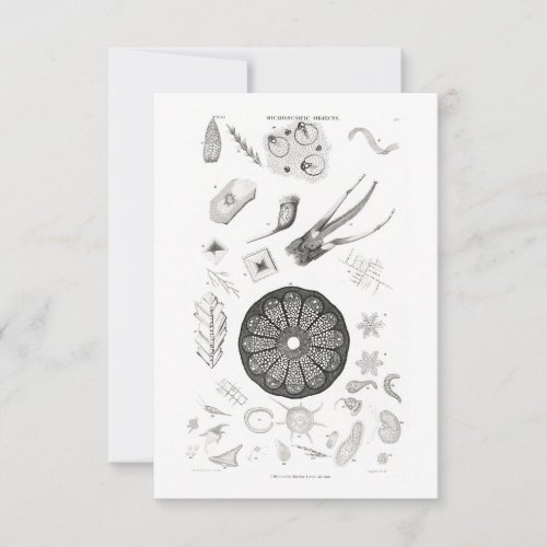 Microbiology Magnification Biomedical Microscopic RSVP Card