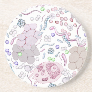 Microbiology Pattern Drink Coaster