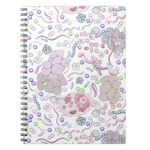 Microbiology Pattern Notebook