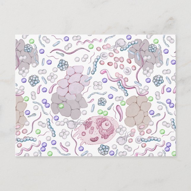 Microbiology Pattern Postcard (Front)