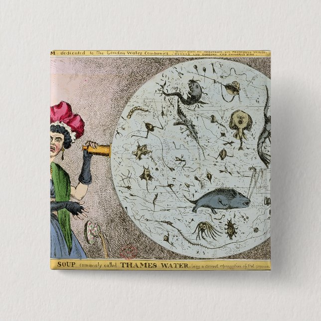 Microcosm dedicated to the London Water Pinback Button (Front)