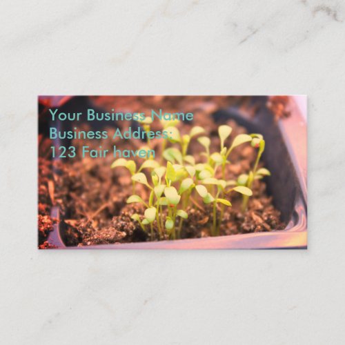 Microgreens Business Card