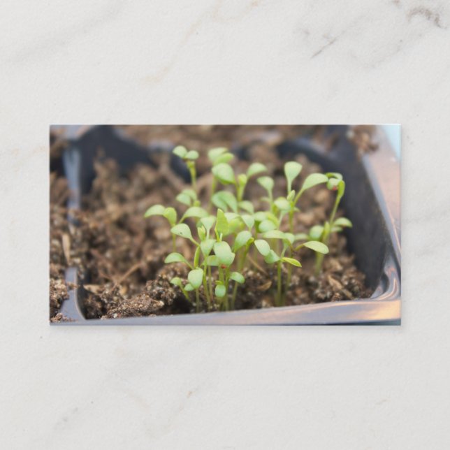 Microgreens Business Card (Front)