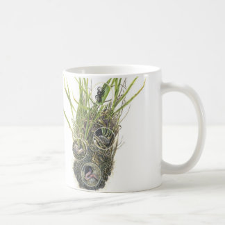 Microhabitat Mug