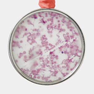 Microscope photo of human blood with Trypanosoma b Metal Ornament