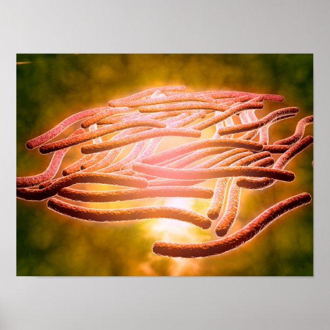 Microscope View Of Legionella Pneumophila 2 Poster (Front)