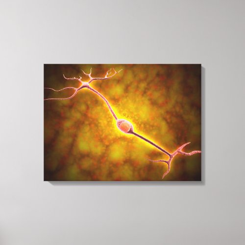 Microscopic View Of A Bipolar Neuron Canvas Print
