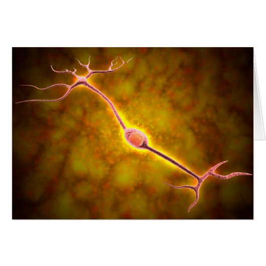 Microscopic View Of A Bipolar Neuron Cards (Front Horizontal)