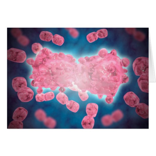 Microscopic View Of A Group Of Leukemia Cell Cards (Front Horizontal)
