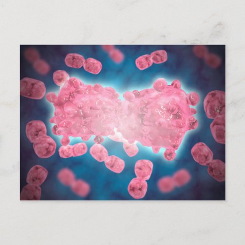 Microscopic View Of A Group Of Leukemia Cell Postcard