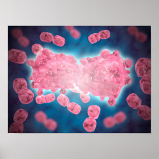 Microscopic View Of A Group Of Leukemia Cell Poster