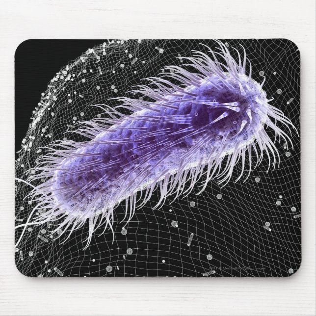 Microscopic view of a helicobacter pylori cell mouse pad (Front)