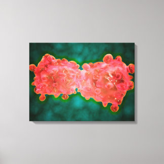 Microscopic View Of A Leukemia Cell Canvas Print