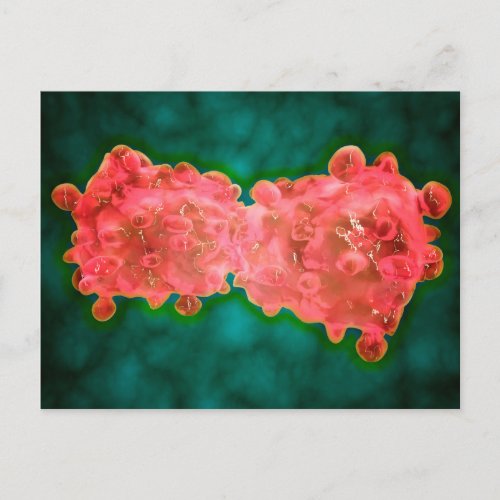 Microscopic View Of A Leukemia Cell Postcard