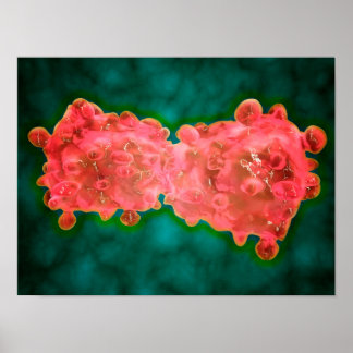 Microscopic View Of A Leukemia Cell Poster