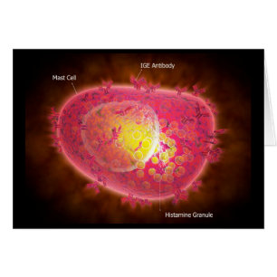 Microscopic View Of A Mast Cell Cards
