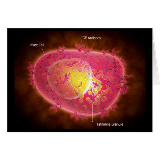 Microscopic View Of A Mast Cell Cards (Front Horizontal)