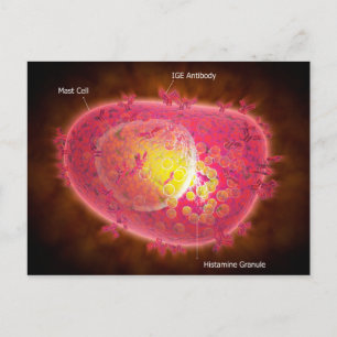 Microscopic View Of A Mast Cell Postcard