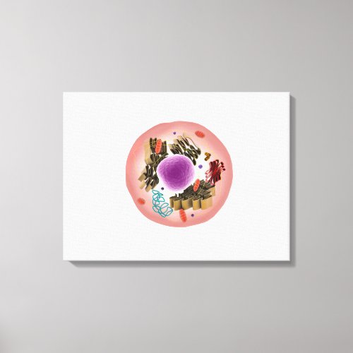 Microscopic View Of Animal Cell 1 Canvas Print
