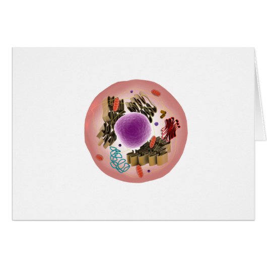 Microscopic View Of Animal Cell 1 Cards (Front Horizontal)