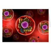 Microscopic View Of Animal Cell 2 (Front Horizontal)